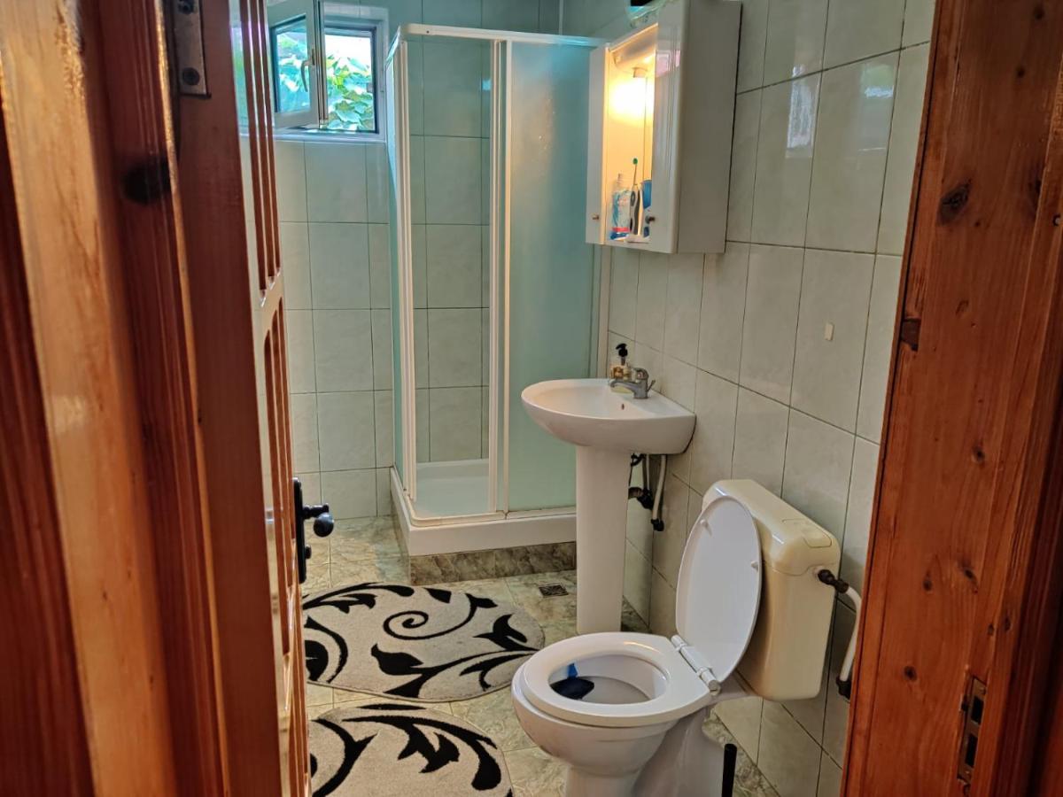 Cazare Buzau Appartement Buitenkant foto